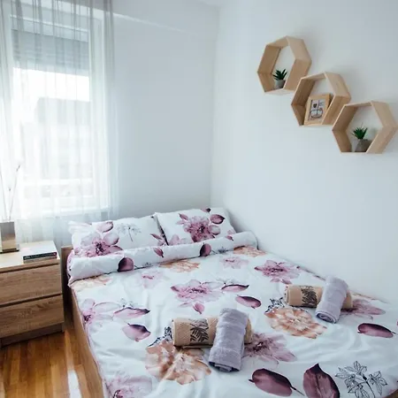 Apartament Vas Dom *